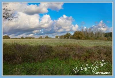 Terrain constructible - 5 560 m²