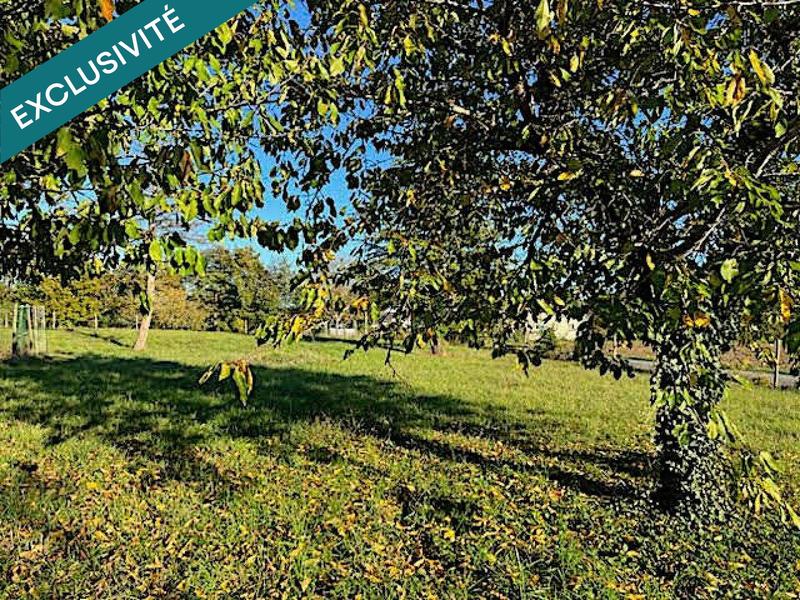 Local commercial - 250 m² - 2 pièces