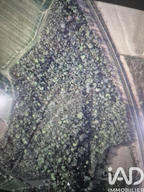 Terrain - 137 452 m²