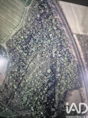 Terrain - 137 452 m²