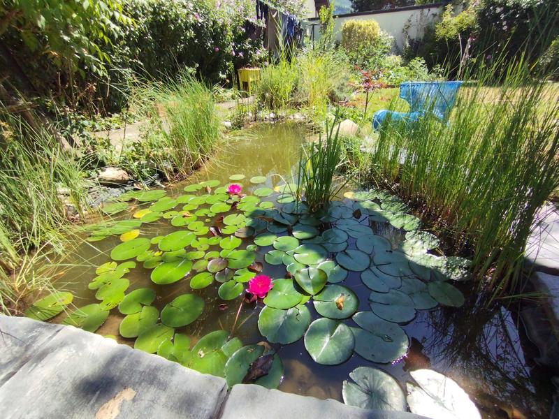 Maison - 109 m² - 5 pièces