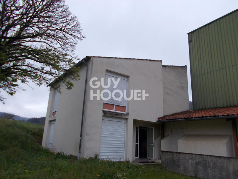 Local d'activité / Entrepôt - 2 300 m²