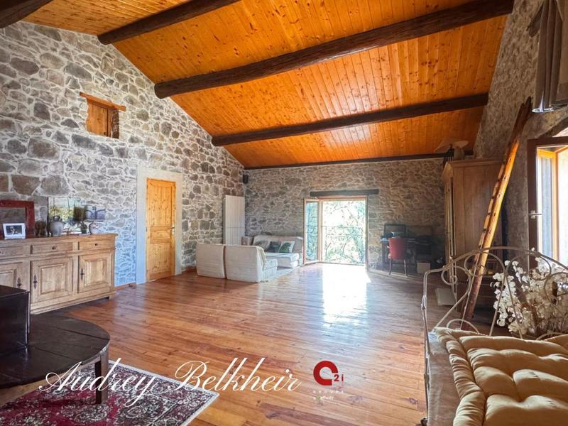 Maison en pierre - 260 m² - 7 pièces