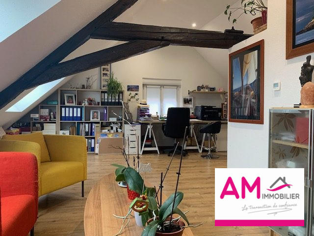 Maison - 301 m² - 7 pièces