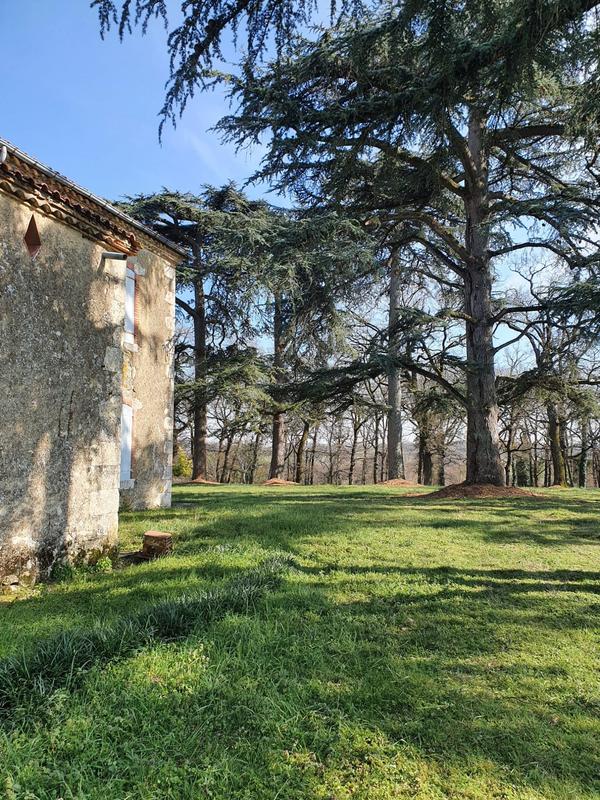 Maison - 300 m² - 10 pièces