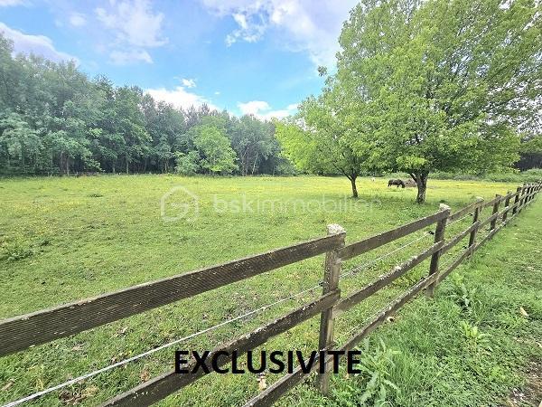 Demeure - 379 m² - 10 pièces