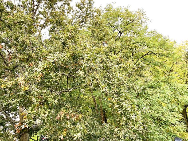 Appartement - 77 m² - 4 pièces