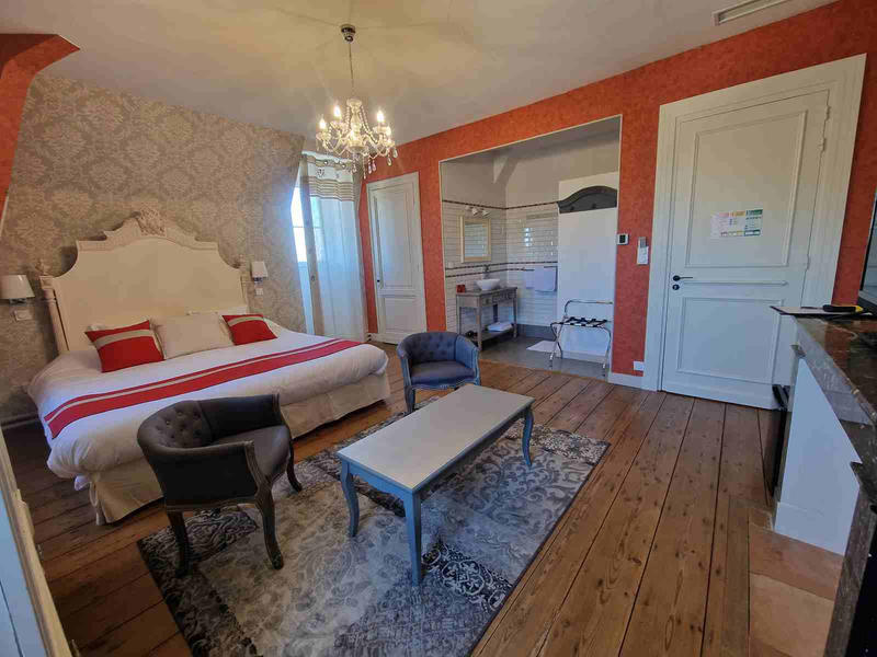 Château - 1 500 m² - 25 pièces