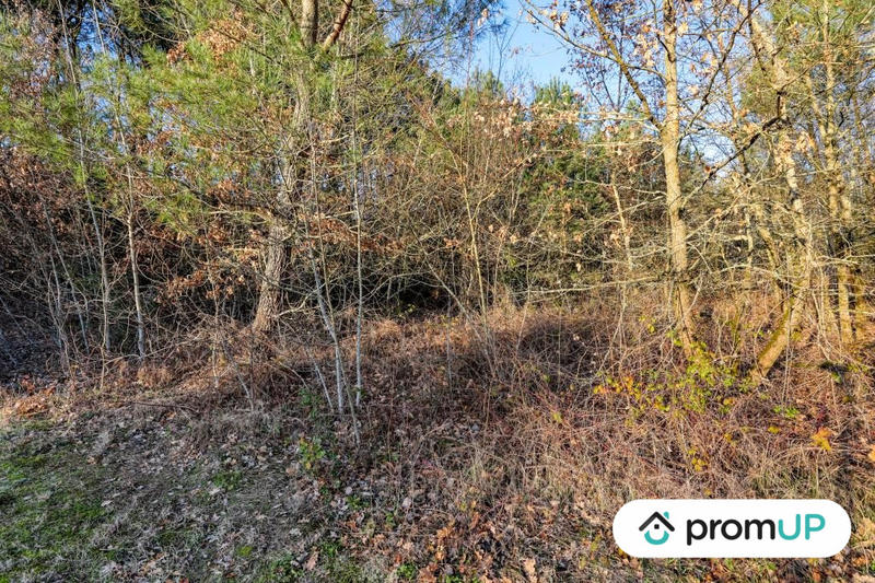 Terrain de loisirs - 1 595 m²