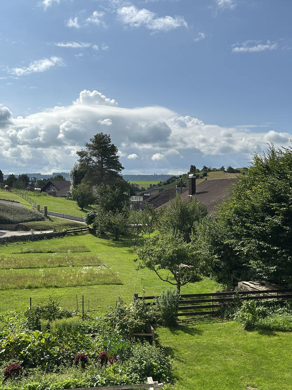 Maison - 242 m² - 7 pièces