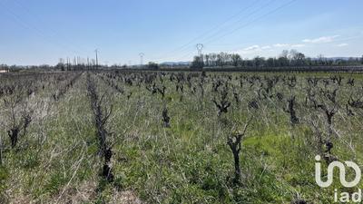 Terrain agricole - 2 667 m²