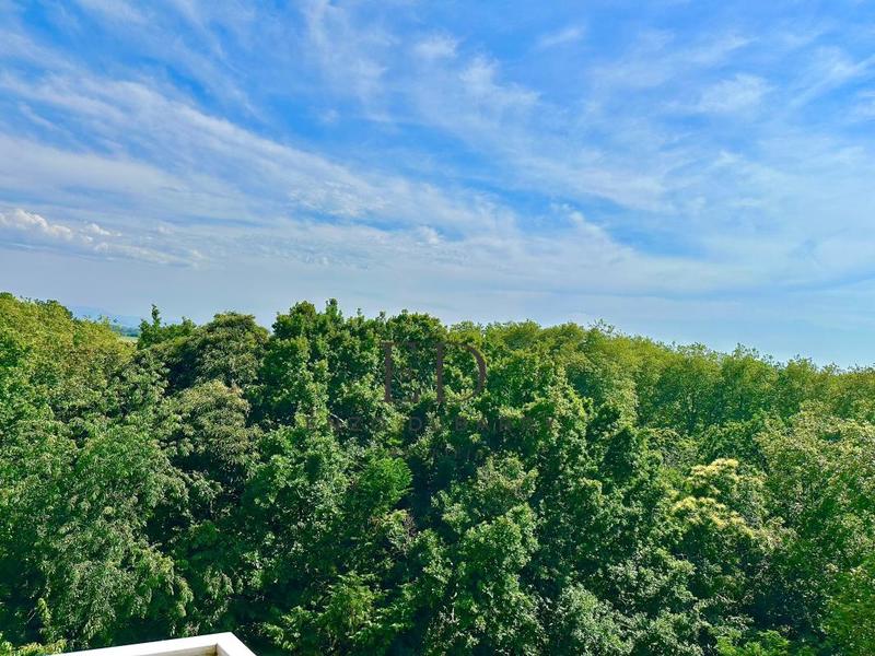 Appartement - 175 m² - 6 pièces