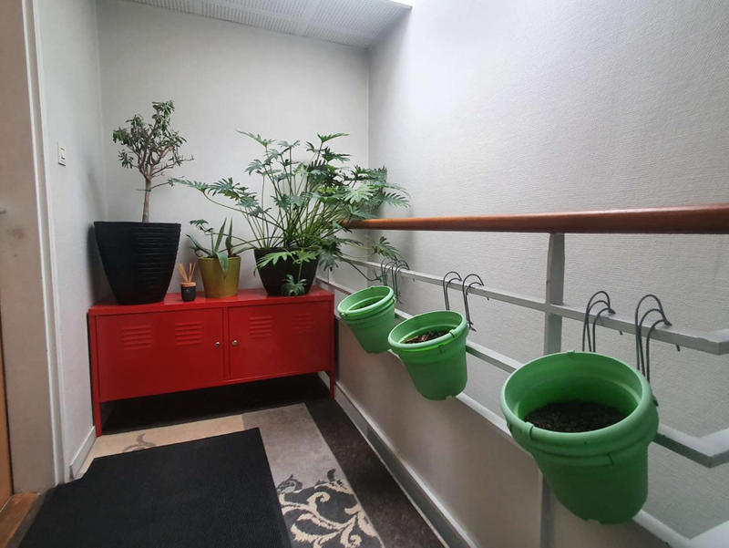 Appartement - 80 m² - 5 pièces