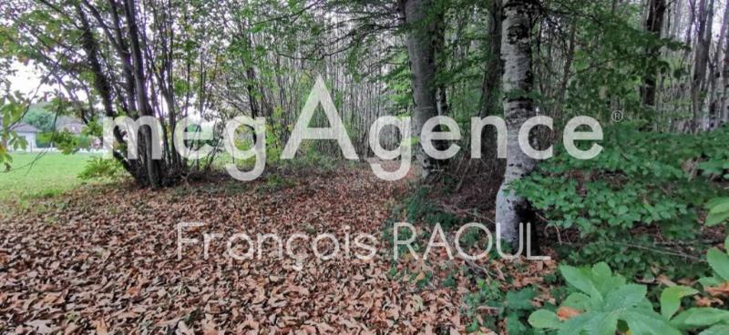 Terrain constructible - 3 832 m²