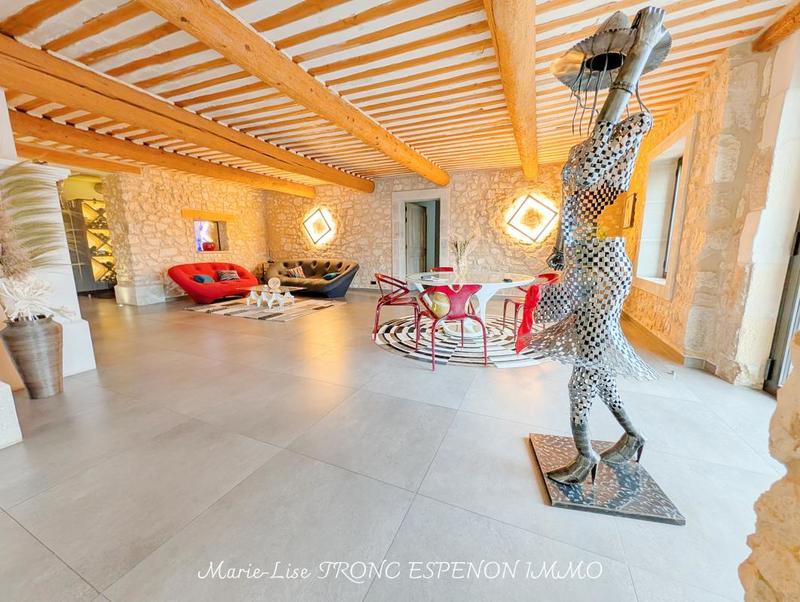 Mas - 471 m² - 15 pièces