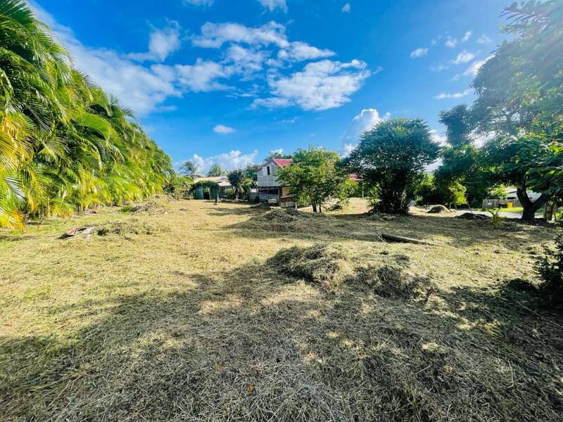 Terrain constructible - 1 215 m²