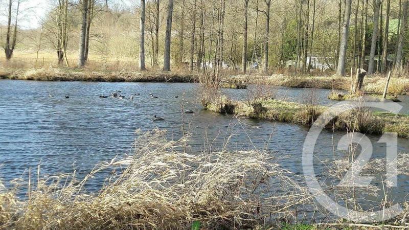 Terrain de loisirs - 16 361 m²