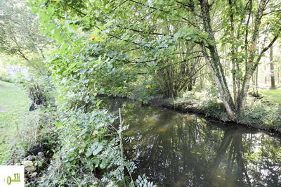 Maison - 270 m² - 8 pièces