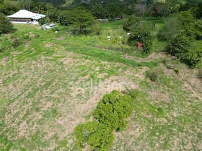 Terrain constructible - 1 919 m²