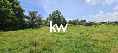 Terrain constructible - 781 m²