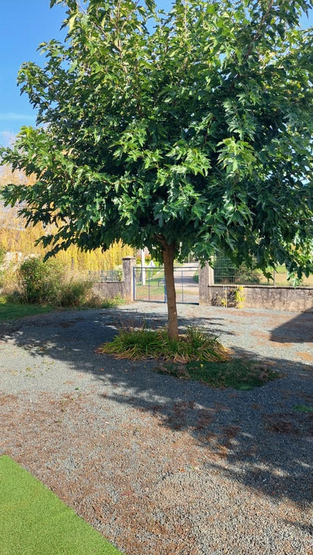 Maison - 122 m² - 6 pièces