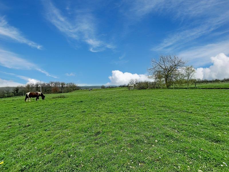 Maison - 270 m² - 12 pièces