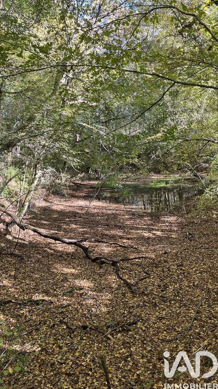 Terrain agricole - 96 509 m²