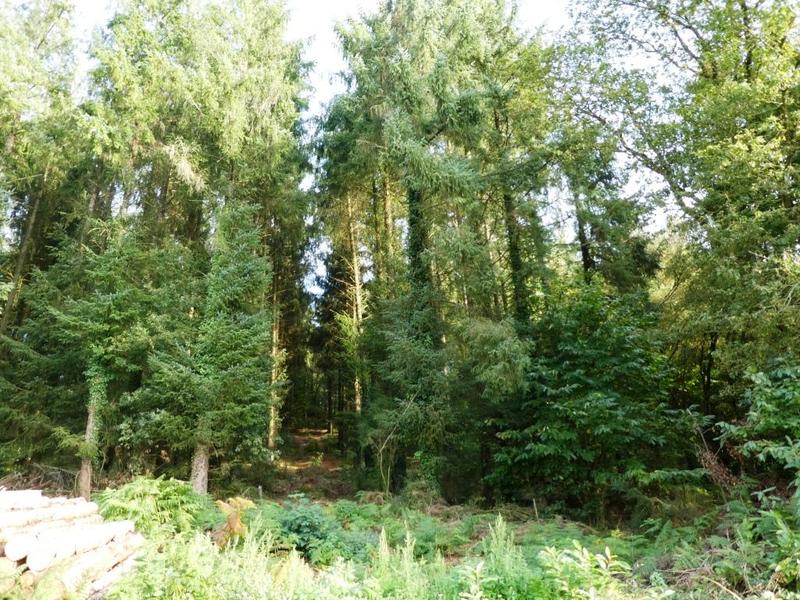 Terrain agricole - 13 280 m²