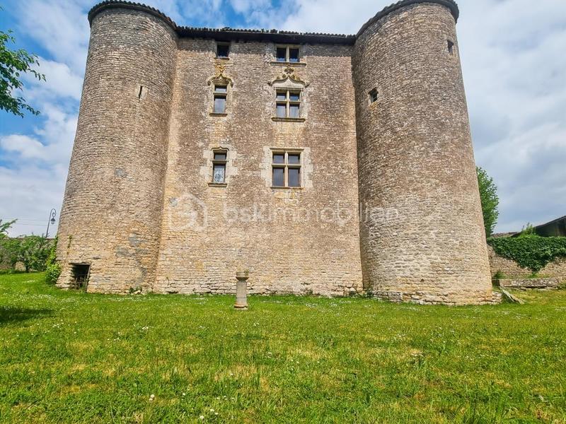 Château - 500 m² - 10 pièces