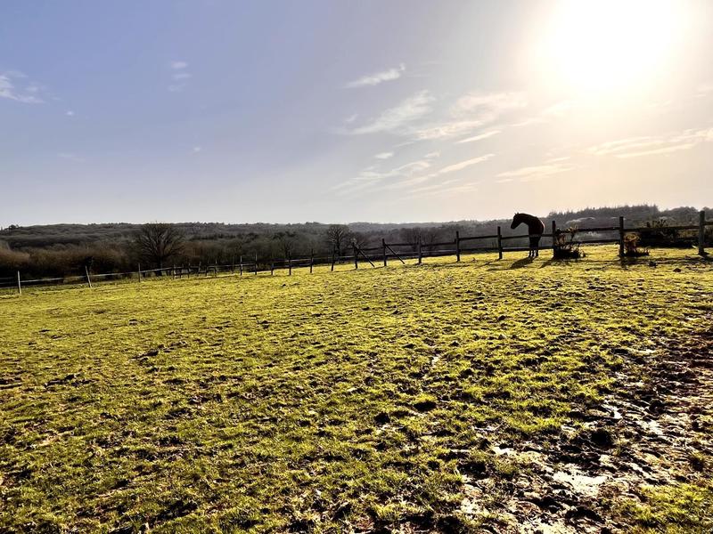 Maison - 324 m² - 11 pièces