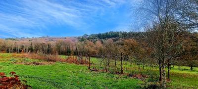 Maison - 128 m² - 6 pièces