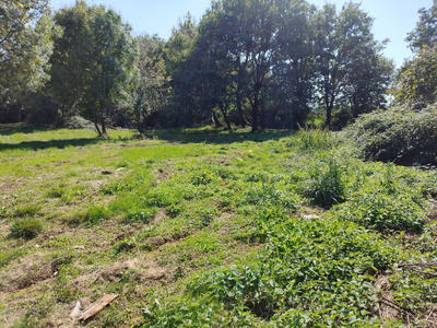 Terrain constructible - 1 161 m²