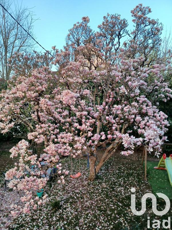 Maison de ville - 240 m² - 6 pièces