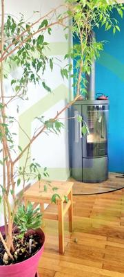 Maison - 100 m² - 6 pièces