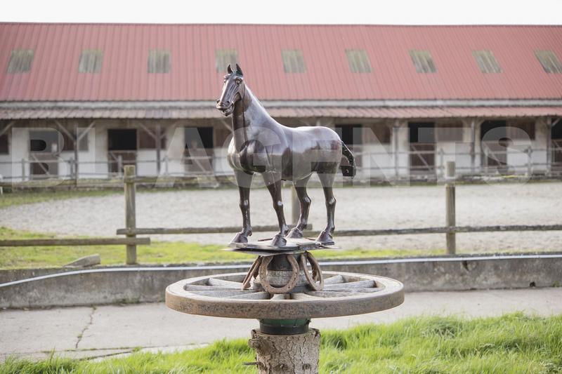 Maison de domaine équestre - 220 m² - 9 pièces