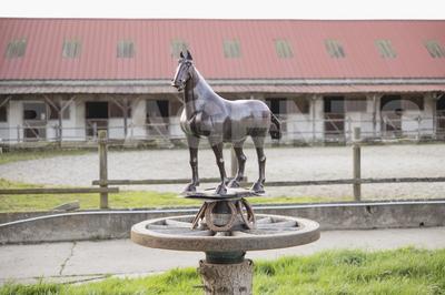 Maison de domaine équestre - 220 m² - 9 pièces