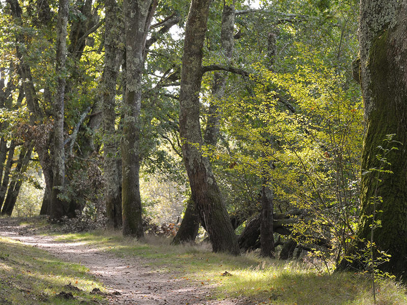 Rencontre et sensibilisation avec la Dfci