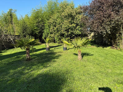 Maison - 200 m² - 6 pièces