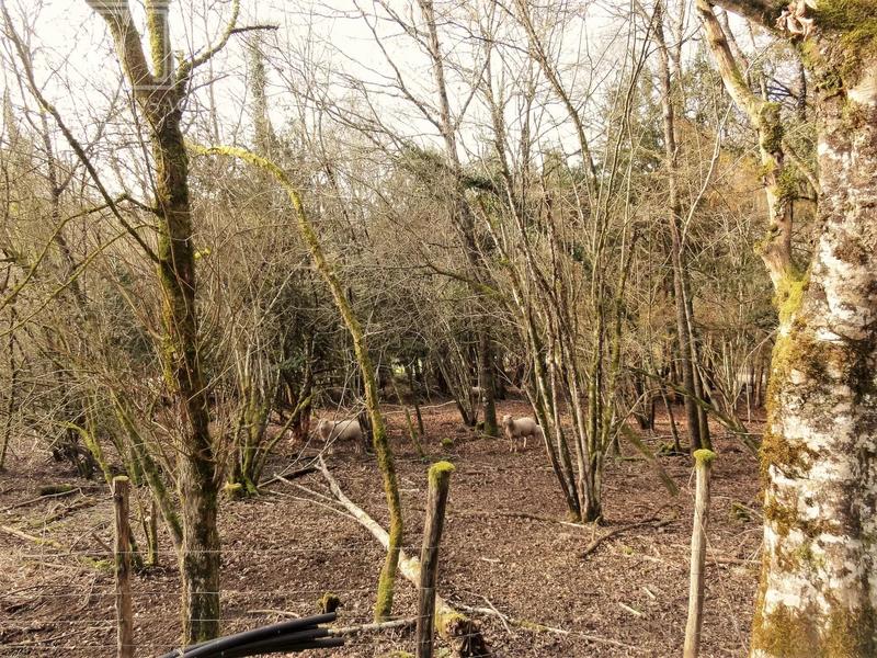 Maison - 141 m² - 5 pièces