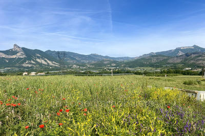Terrain - 1 645 m²