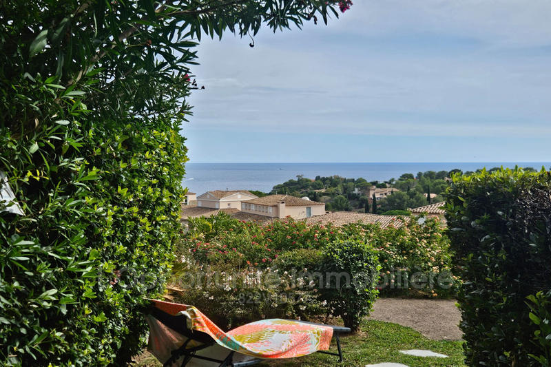 Appartement - 1 pièce