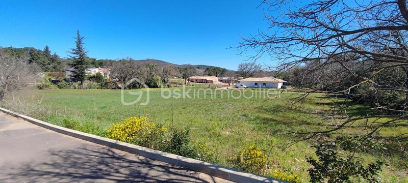 Terrain - 2 341 m²