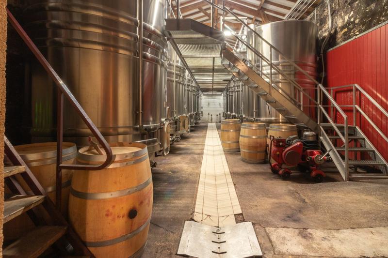 Château - 1 160 m² - 20 pièces