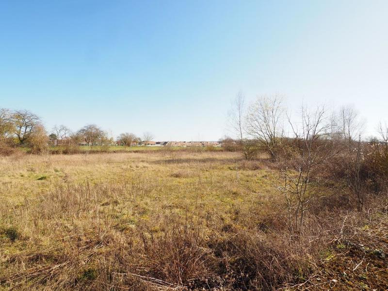 Terrain constructible - 5 500 m²