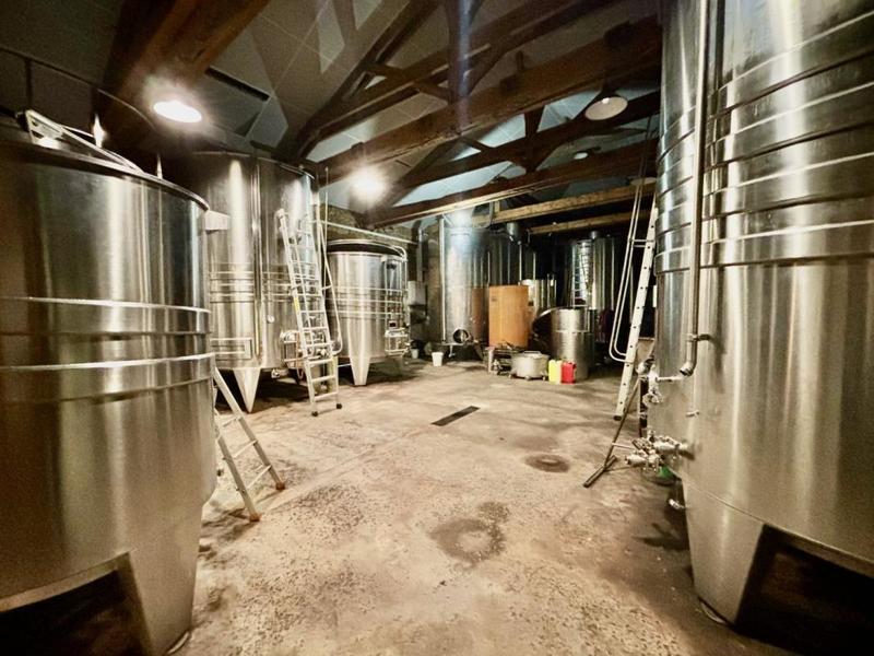 Propriété viticole - 310 m² - 15 pièces