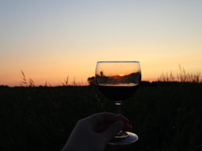 Apéro nature nocturne à Terres d'Oiseaux