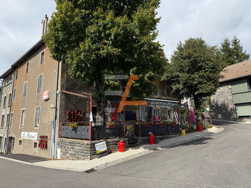 Immeuble - 555 m² - 10 pièces