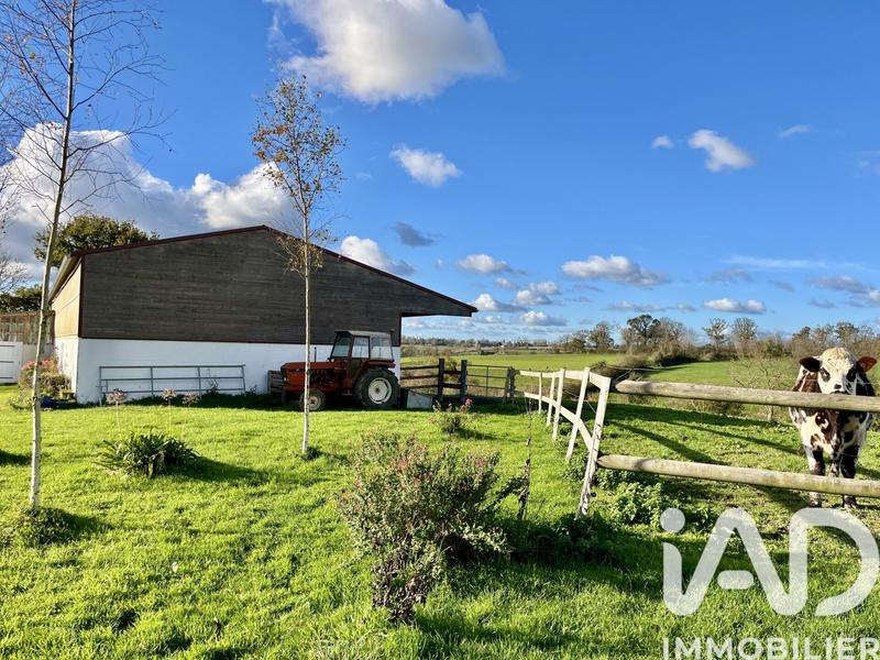 Maison de campagne - 120 m² - 5 pièces