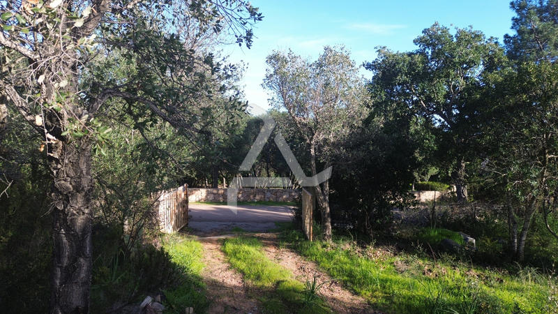 Maison - 41 m² - 1 pièce