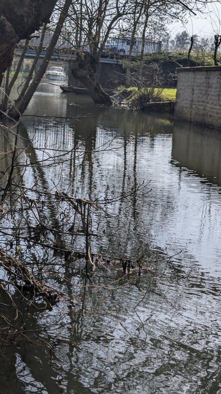 Maison - 36 m² - 2 pièces